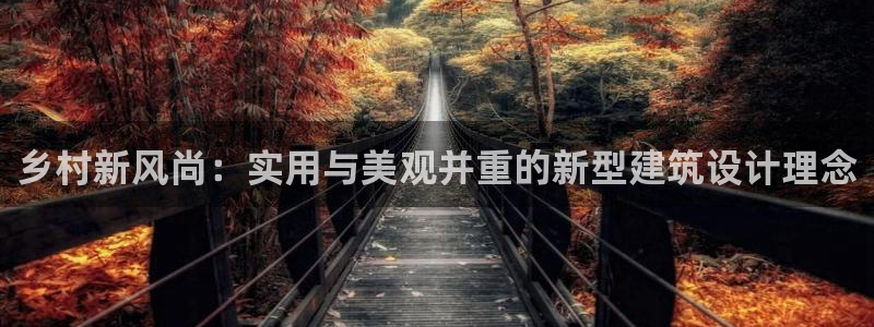 怎么下载先锋娱乐大厅：乡村新风尚：实用与美观并重的新型建筑设计理念