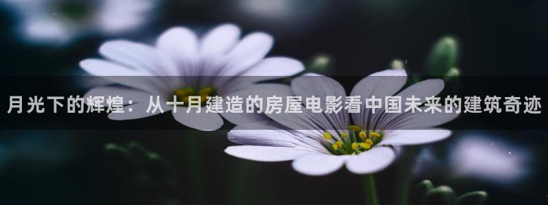 先锋娱乐币：月光下的辉煌：从十月建造的房屋电影看中国未来的建筑奇迹