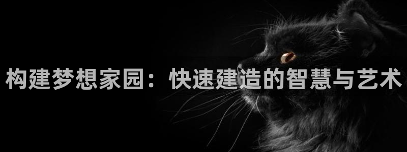 先锋娱乐账号：构建梦想家园：快速建造的智慧与艺术