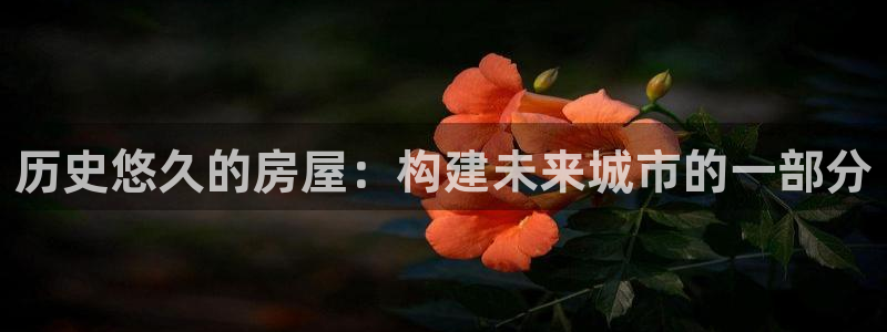 先锋娱乐简介图片：历史悠久的房屋：构建未来城市的一部分