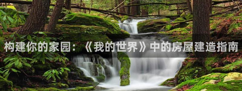 先锋娱乐管理集团怎么样：构建你的家园：《我的世界》中的房屋建造指南