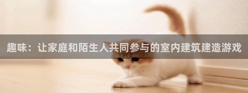 先锋电子旗下先锋娱乐：趣味：让家庭和陌生人共同参与的室内建筑建造游戏
