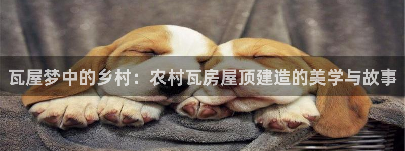 亚洲先锋娱乐登录：瓦屋梦中的乡村：农村瓦房屋顶建造的美学与故事