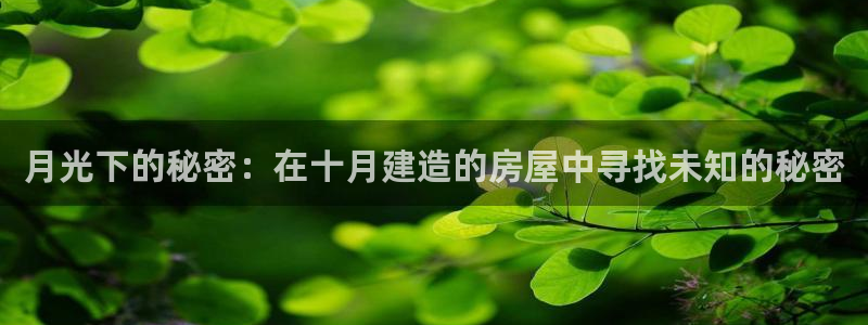 先锋娱乐股票：月光下的秘密：在十月建造的房屋中寻找未知的秘密
