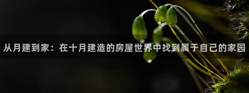 先锋娱乐系统：从月建到家：在十月建造的房屋世界中找到属于自己的家园