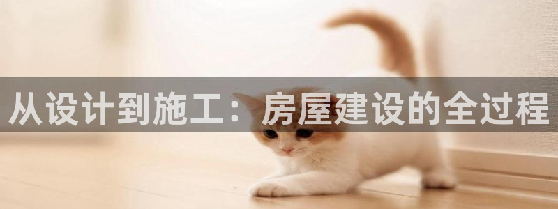 先锋娱乐入口：从设计到施工：房屋建设的全过程