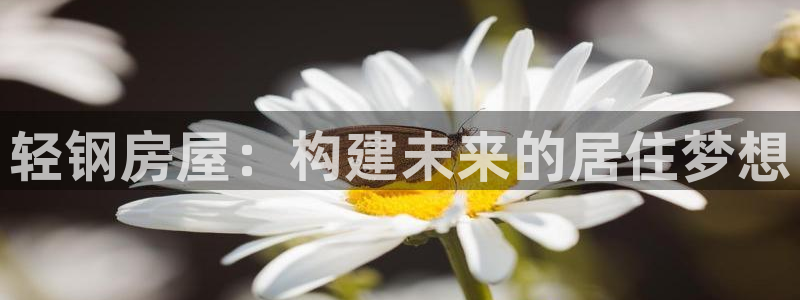 先锋娱乐扑克：轻钢房屋：构建未来的居住梦想