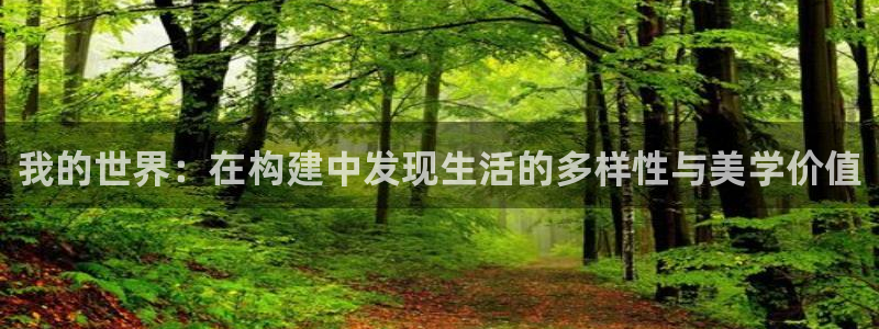 先锋娱乐大厅平台：我的世界：在构建中发现生活的多样性与美学价值