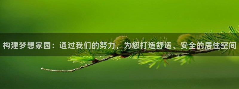 先锋娱乐网：构建梦想家园：通过我们的努力，为您打造舒适、安全的居住空间