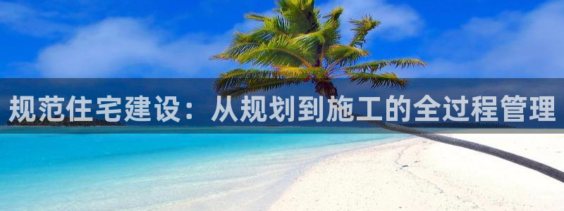 先锋方舟娱乐集团：规范住宅建设：从规划到施工的全过程管理