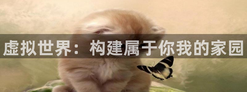 贵州先锋娱乐：虚拟世界：构建属于你我的家园