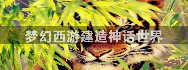 先锋娱乐是不是骗子：梦幻西游建造神话世界