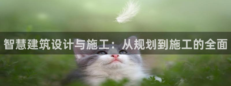 时代先锋娱乐：智慧建筑设计与施工：从规划到施工的全面