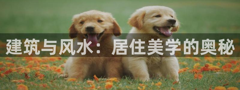 大连先锋娱乐：建筑与风水：居住美学的奥秘