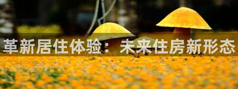 先锋娱乐大厅首页：革新居住体验：未来住房新形态