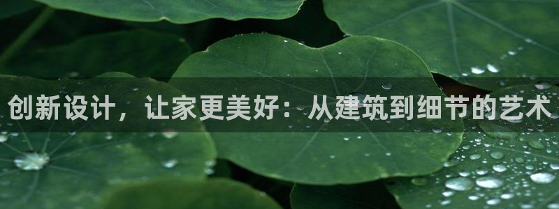 先锋娱乐登录：创新设计，让家更美好：从建筑到细节的艺术