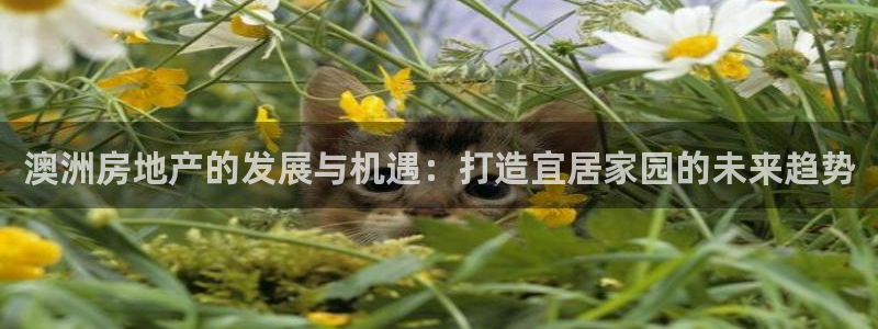 先锋娱乐传媒：澳洲房地产的发展与机遇：打造宜居家园的未来趋势