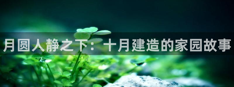 时代先锋娱乐：月圆人静之下：十月建造的家园故事