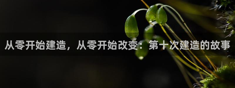 先锋电子车载娱乐系统：从零开始建造，从零开始改变：第十次建造的故事