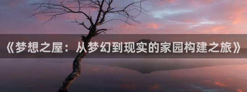 先锋娱乐传媒：《梦想之屋：从梦幻到现实的家园构建之旅》