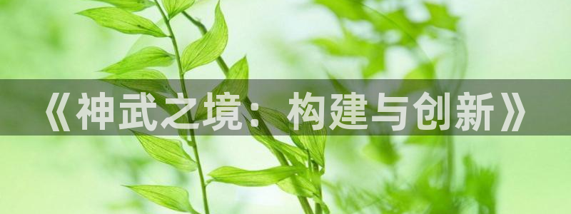 先锋娱乐大厅有挂吗：《神武之境：构建与创新》