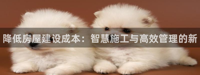 先锋娱乐账号：降低房屋建设成本：智慧施工与高效管理的新