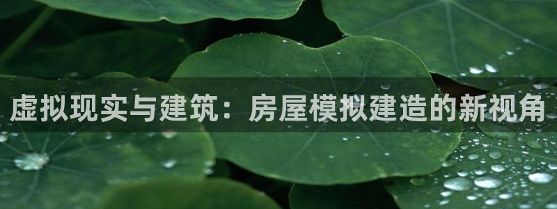 贵州先锋娱乐：虚拟现实与建筑：房屋模拟建造的新视角