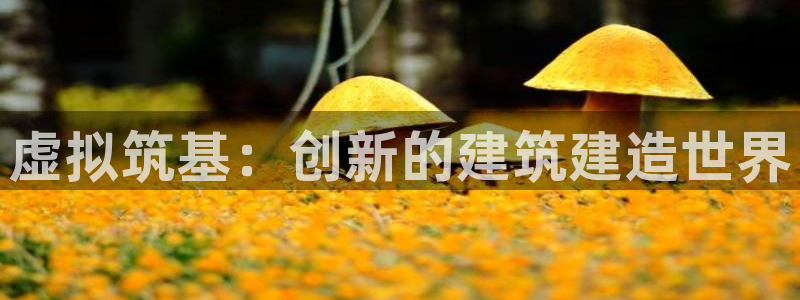 先锋澳门新娱乐：虚拟筑基：创新的建筑建造世界