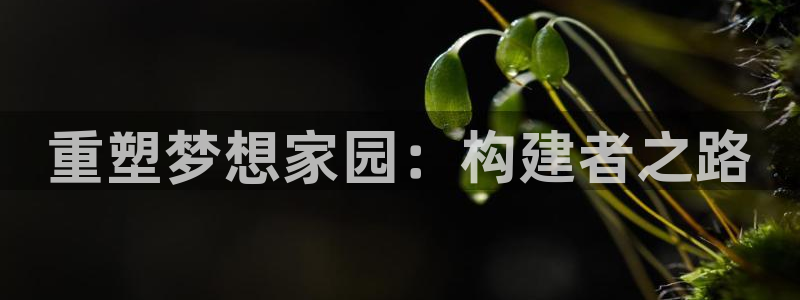 先锋娱乐提现多久到账：重塑梦想家园：构建者之路