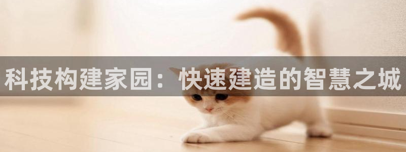 先锋娱乐团：科技构建家园：快速建造的智慧之城