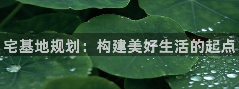 先锋支付娱乐城：宅基地规划：构建美好生活的起点