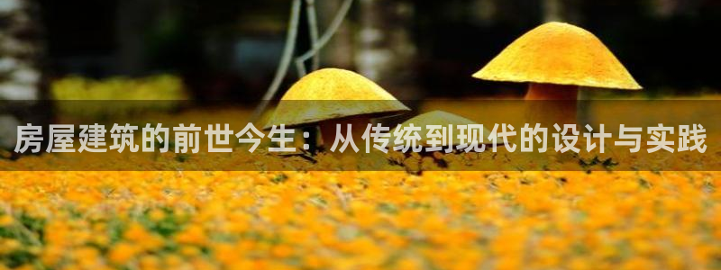 先锋娱乐入口：房屋建筑的前世今生：从传统到现代的设计与实践