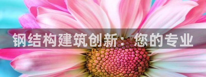 先锋娱乐理财logo：钢结构建筑创新：您的专业