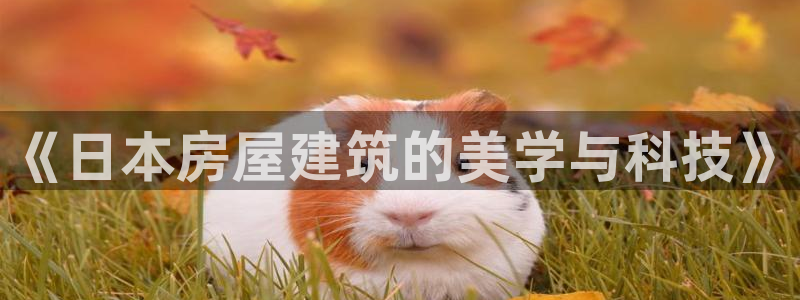 先锋娱乐属于违法吗