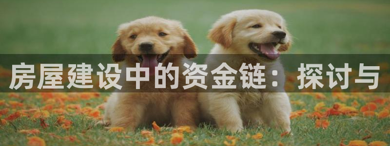 亚洲先锋娱乐行情：房屋建设中的资金链：探讨与