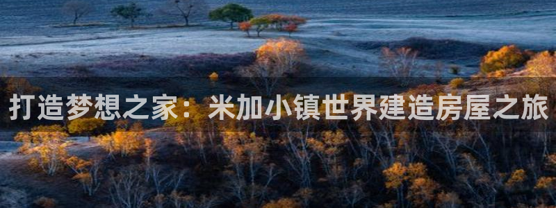 先锋电子旗下先锋娱乐：打造梦想之家：米加小镇世界建造房屋之旅