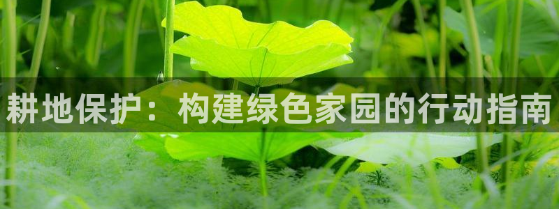 先锋电子车载娱乐系统