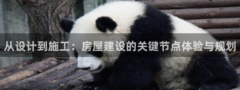 先锋娱乐游戏上分视频