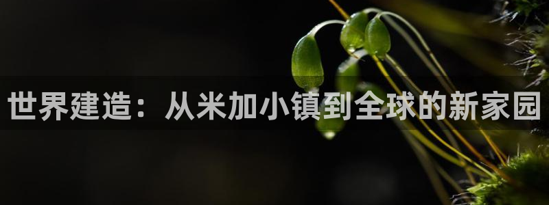 先锋娱乐转进去钱：世界建造：从米加小镇到全球的新家园