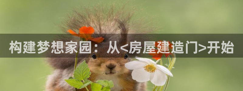 时代先锋娱乐：构建梦想家园：从<房屋建造门>开始