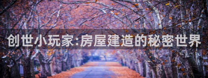 先锋娱乐登录：创世小玩家:房屋建造的秘密世界