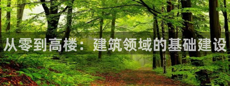 先锋娱乐垫付金额：从零到高楼：建筑领域的基础建设