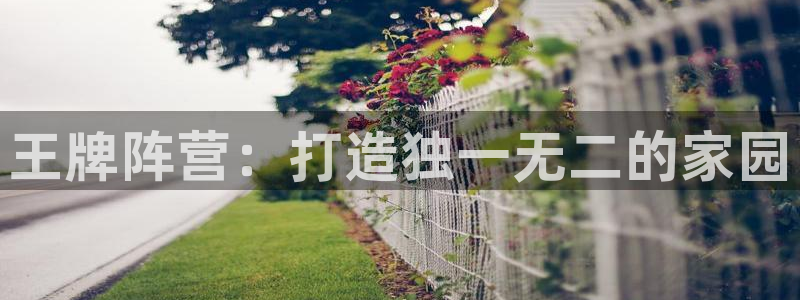 先锋娱乐游戏软件：王牌阵营：打造独一无二的家园