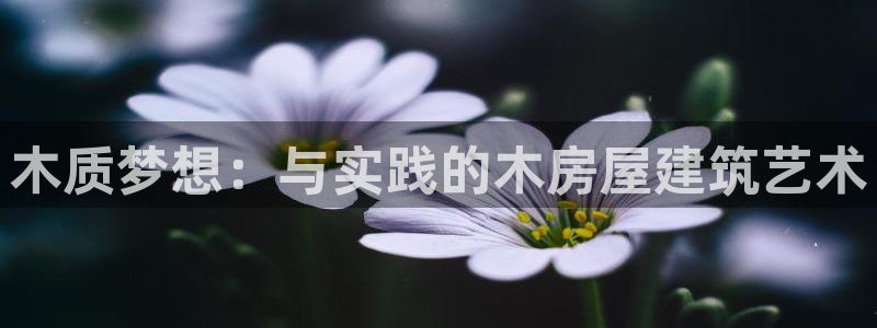 先锋娱乐传媒：木质梦想：与实践的木房屋建筑艺术