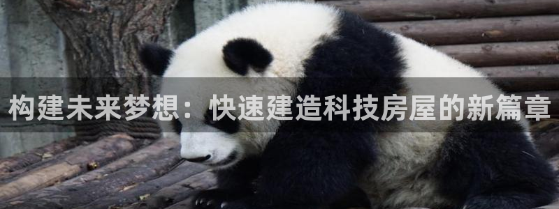 娱乐急先锋全集下载：构建未来梦想：快速建造科技房屋的新篇章