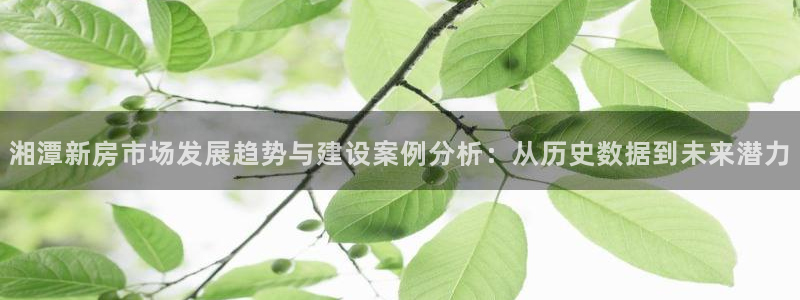 先锋娱乐大厅首页：湘潭新房市场发展趋势与建设案例分析：从历史数据到未来潜力
