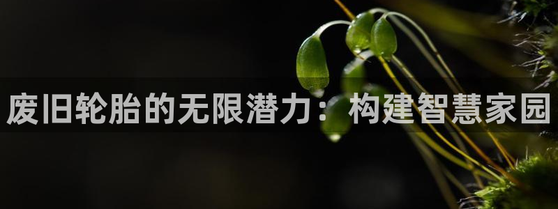 先锋娱乐资讯官网入口：废旧轮胎的无限潜力：构建智慧家园