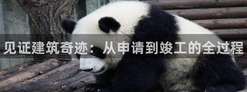 先锋娱乐资讯：见证建筑奇迹：从申请到竣工的全过程