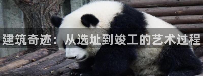 先锋娱乐客服：建筑奇迹：从选址到竣工的艺术过程