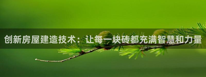 先锋国际娱乐：创新房屋建造技术：让每一块砖都充满智慧和力量